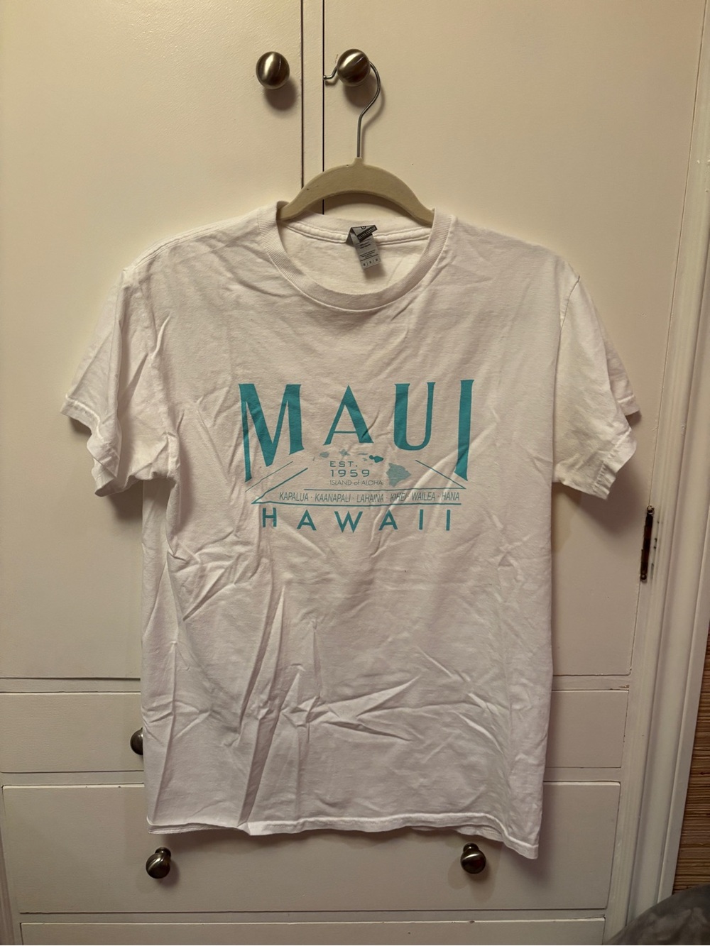 Gildan Maui Hawaii White Graphic Tee with Teal Logo